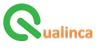 Qualinca > Logo